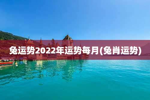 兔运势2022年运势每月(兔肖运势)