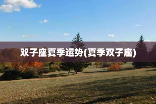 双子座夏季运势(夏季双子座)