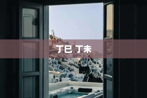 丁巳 丁未