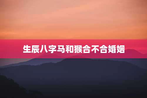 生辰八字马和猴合不合婚姻