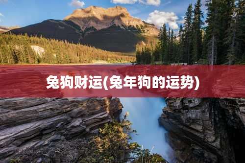 兔狗财运(兔年狗的运势)