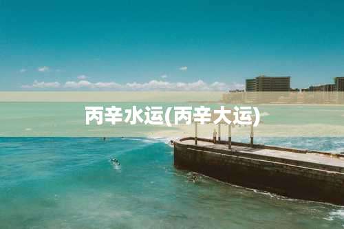 丙辛水运(丙辛大运)