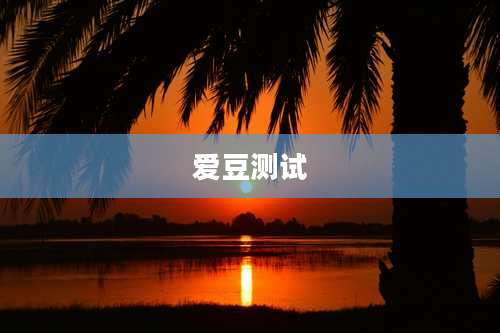 爱豆测试