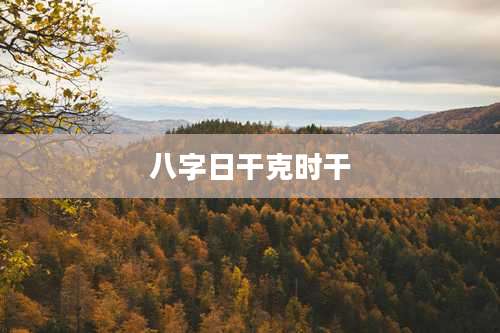 八字日干克时干