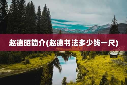 赵德昭简介(赵德书法多少钱一尺)