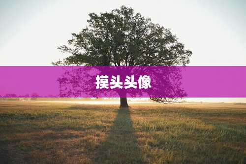 摸头头像