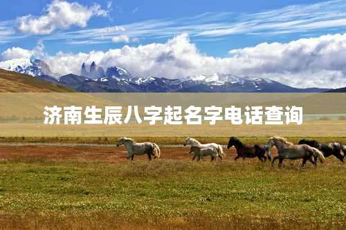 济南生辰八字起名字电话查询