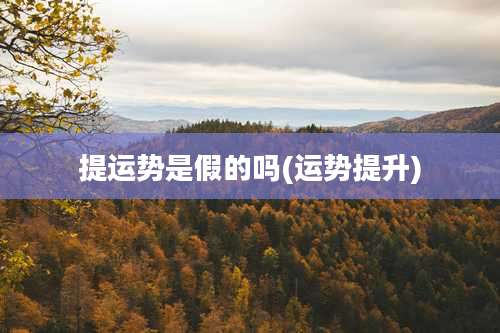 提运势是假的吗(运势提升)