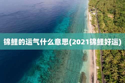 锦鲤的运气什么意思(2021锦鲤好运)