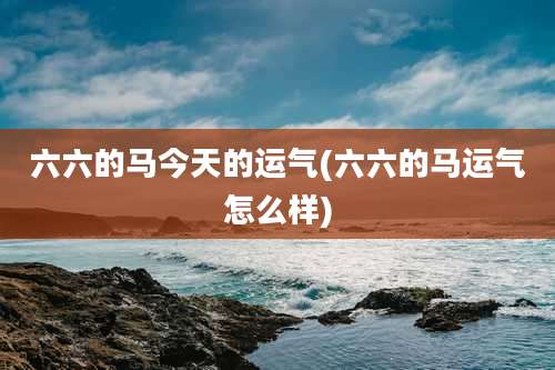六六的马今天的运气(六六的马运气怎么样)