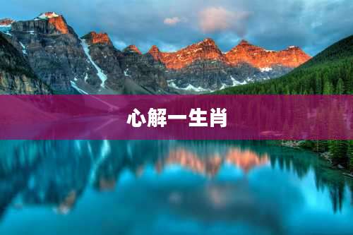 心解一生肖
