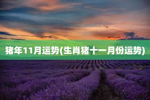 猪年11月运势(生肖猪十一月份运势)