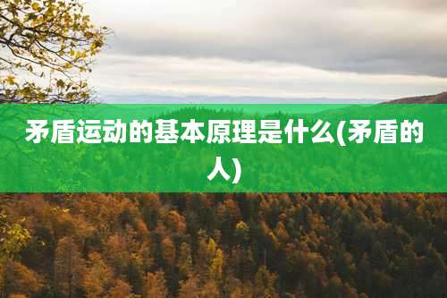 矛盾运动的基本原理是什么(矛盾的人)