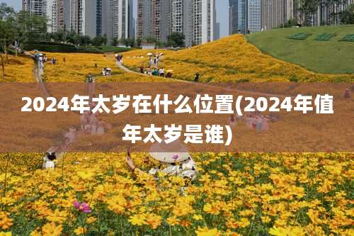2024年太岁在什么位置(2024年值年太岁是谁)