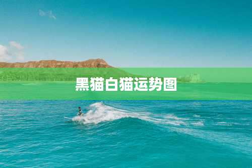 黑猫白猫运势图