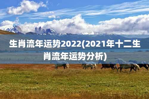 生肖流年运势2022(2021年十二生肖流年运势分析)