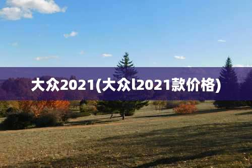 大众2021(大众l2021款价格)