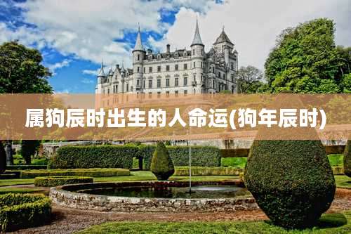 属狗辰时出生的人命运(狗年辰时)