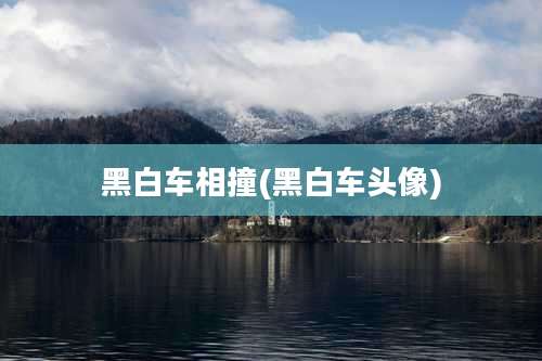 黑白车相撞(黑白车头像)