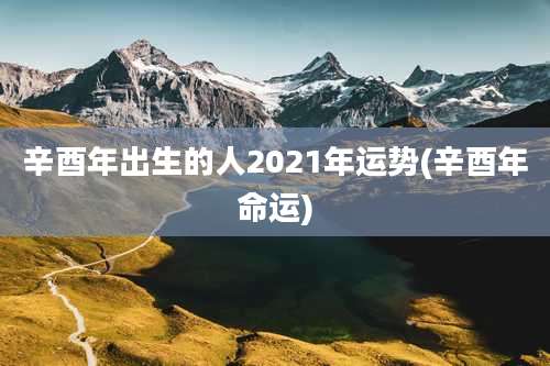 辛酉年出生的人2021年运势(辛酉年命运)