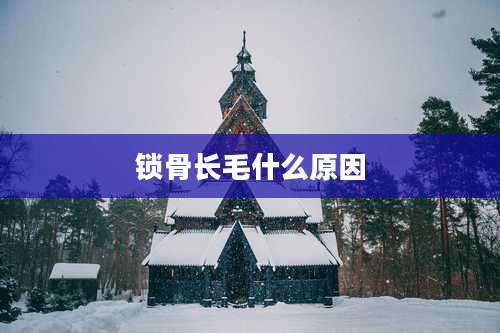 锁骨长毛什么原因