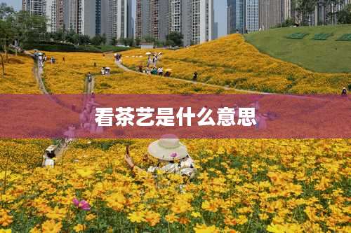 看茶艺是什么意思