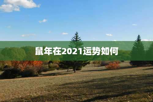 鼠年在2021运势如何