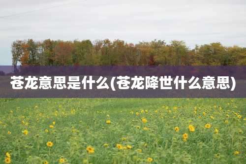 苍龙意思是什么(苍龙降世什么意思)