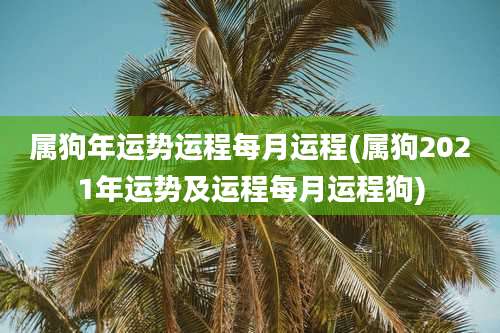 属狗年运势运程每月运程(属狗2021年运势及运程每月运程狗)