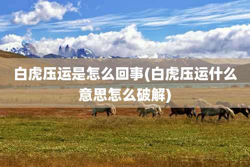 白虎压运是怎么回事(白虎压运什么意思怎么破解)