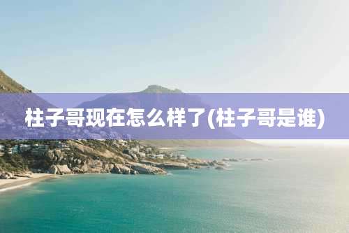 柱子哥现在怎么样了(柱子哥是谁)