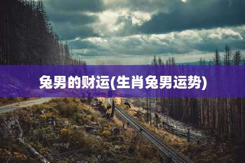 兔男的财运(生肖兔男运势)