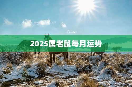 2025属老鼠每月运势