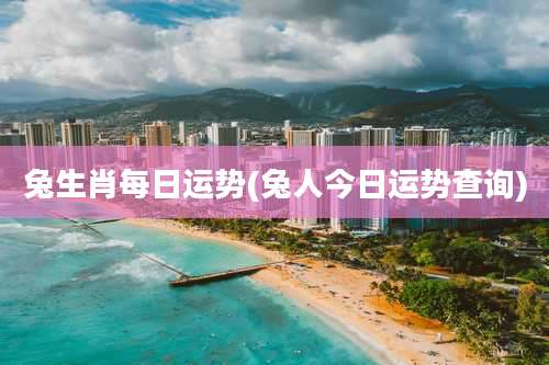 兔生肖每日运势(兔人今日运势查询)