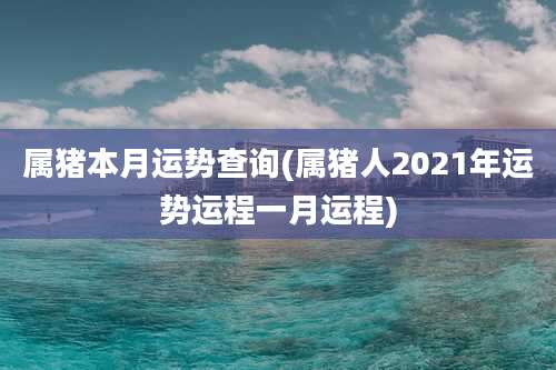 属猪本月运势查询(属猪人2021年运势运程一月运程)