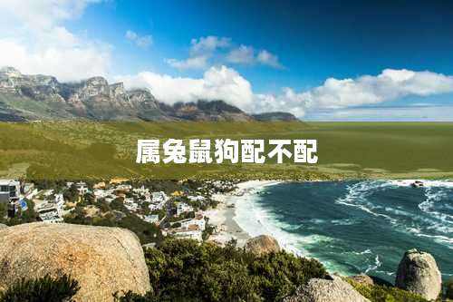 属兔鼠狗配不配