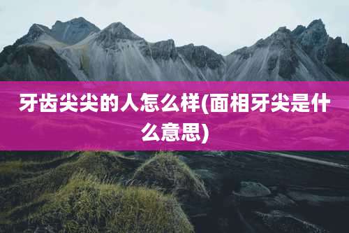 牙齿尖尖的人怎么样(面相牙尖是什么意思)