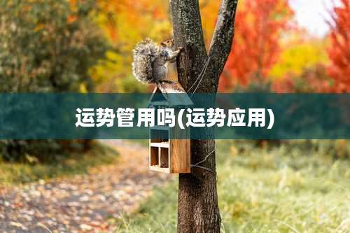 运势管用吗(运势应用)