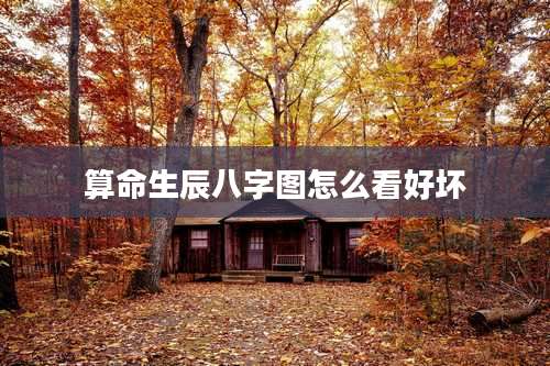 算命生辰八字图怎么看好坏