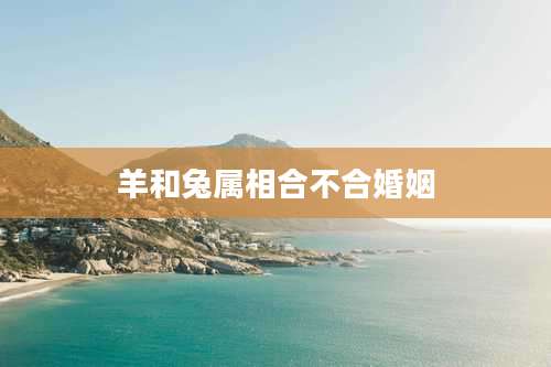 羊和兔属相合不合婚姻