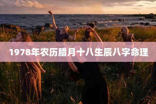 1978年农历腊月十八生辰八字命理