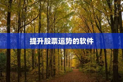 提升股票运势的软件