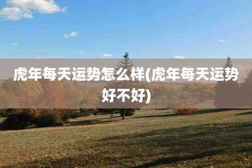 虎年每天运势怎么样(虎年每天运势好不好)