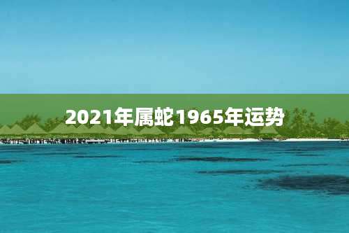 2021年属蛇1965年运势