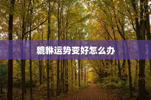 貔貅运势变好怎么办