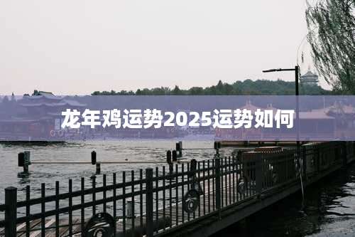 龙年鸡运势2025运势如何