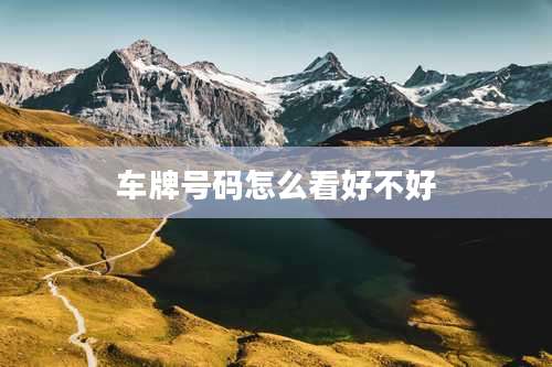 车牌号码怎么看好不好