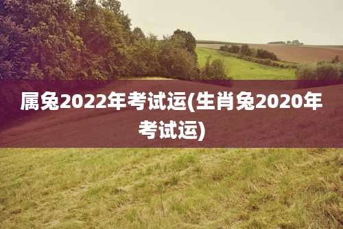 属兔2022年考试运(生肖兔2020年考试运)