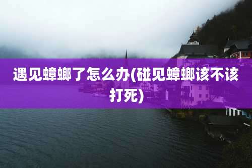 遇见蟑螂了怎么办(碰见蟑螂该不该打死)
