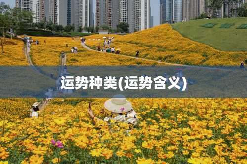 运势种类(运势含义)